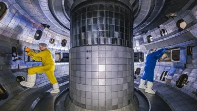 Плазмові нестабільності в токамаках виявилися корисними для термоядерного синтезу