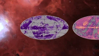 Огляд SDSS DR20 відкриває безпрецедентну карту зірок і галактик