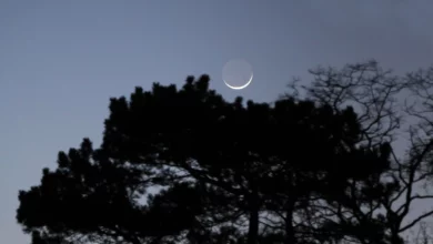 Місяць вдень закриє Юпітер 8 вересня 2026 року