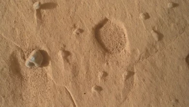 Марсохід Curiosity виявив на Марсі дивні мілкі отвори
