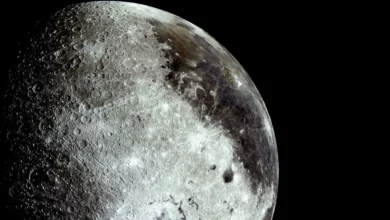 Астронавти Artemis II побачили на Місяці «болотні» барви