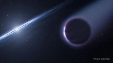 Астрономи виявили можливу другу генерацію планети біля білого карлика