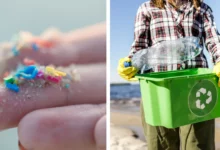 Відходи пластику перетворили на губки для добування води з повітря