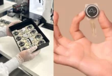 Моделі Neuralink зібрали 50 тис годин сигналів мозку й побили рекорд