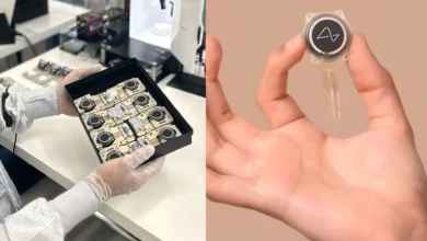 Моделі Neuralink зібрали 50 тис годин сигналів мозку й побили рекорд