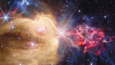 Телескоп Джеймса Вебба розкрив сотні молодих зірок у туманності NGC 7129