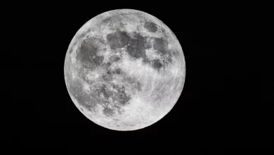 Ядерні реактори можуть живити постійні бази на Місяці